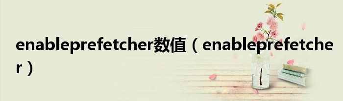 enableprefetcher数值（enableprefetcher）