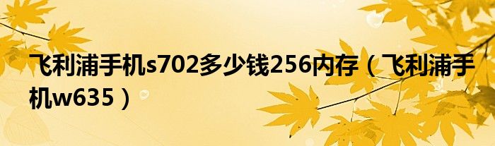 飞利浦手机s702多少钱256内存（飞利浦手机w635）