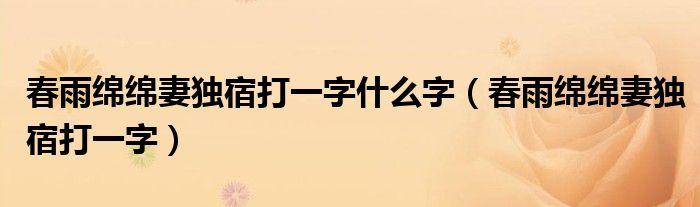 春雨绵绵妻独宿打一字什么字（春雨绵绵妻独宿打一字）