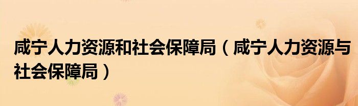 咸宁人力资源和社会保障局（咸宁人力资源与社会保障局）