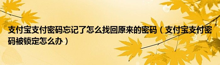 支付宝支付密码忘记了怎么找回原来的密码（支付宝支付密码被锁定怎么办）