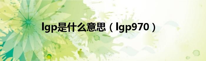 lgp是什么意思（lgp970）