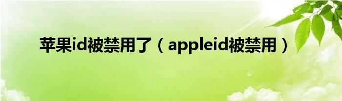 苹果id被禁用了（appleid被禁用）