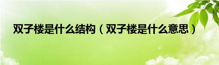 双子楼是什么结构（双子楼是什么意思）