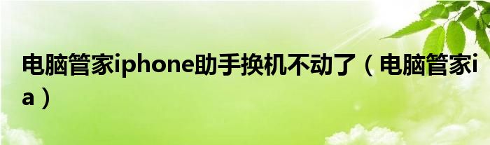 电脑管家iphone助手换机不动了（电脑管家ia）