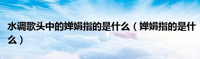 水调歌头中的婵娟指的是什么（婵娟指的是什么）