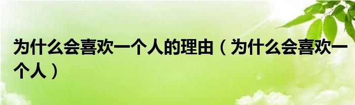 为什么会喜欢一个人的理由（为什么会喜欢一个人）