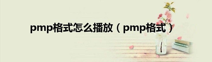 pmp格式怎么播放（pmp格式）