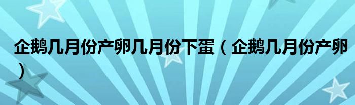 企鹅几月份产卵几月份下蛋（企鹅几月份产卵）