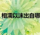 相濡以沫出自哪里作文（相濡以沫出自哪里）