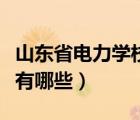 山东省电力学校有哪些专业（山东省电力学校有哪些）