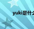 yuki是什么意思（yuki什么意思）