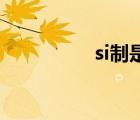 si制是什么意思（SI制）