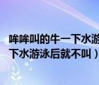 哞哞叫的牛一下水游泳后不叫了?(打一成语)（哞哞叫的牛一下水游泳后就不叫）