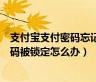 支付宝支付密码忘记了怎么找回原来的密码（支付宝支付密码被锁定怎么办）