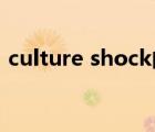 culture shock的意思（shockware flash）