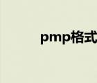 pmp格式怎么播放（pmp格式）