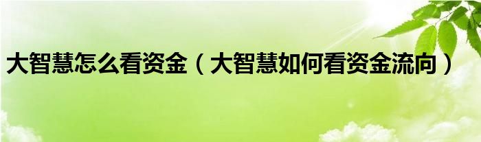 大智慧怎么看资金（大智慧如何看资金流向）