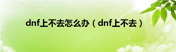 dnf上不去怎么办（dnf上不去）