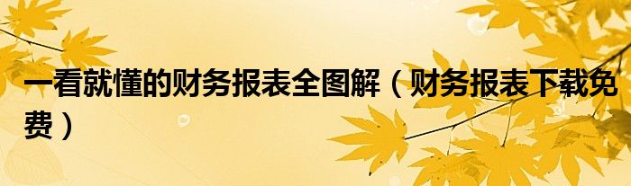 一看就懂的财务报表全图解（财务报表下载免费）