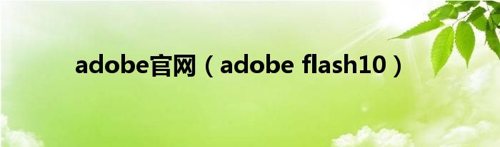 adobe官网（adobe flash10）