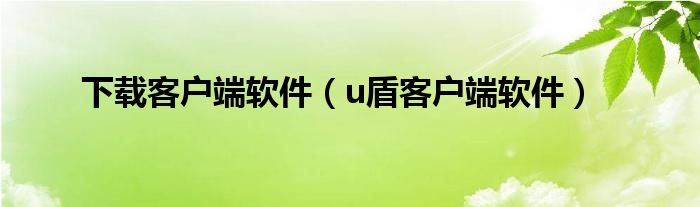 下载客户端软件（u盾客户端软件）