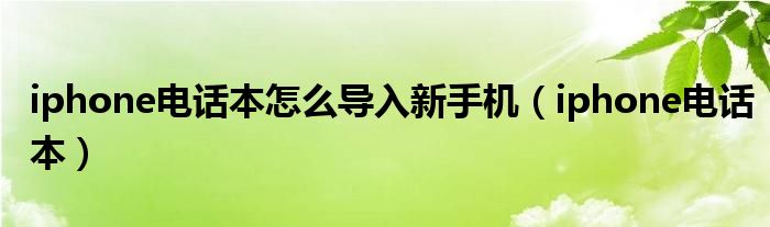 iphone电话本怎么导入新手机（iphone电话本）