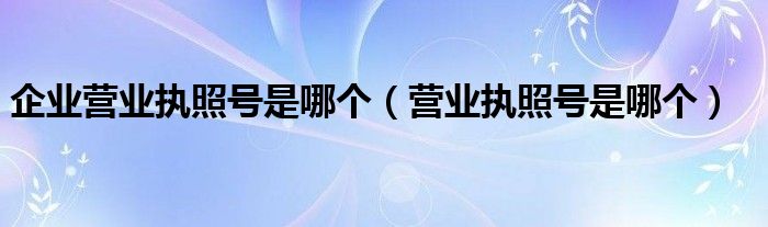 企业营业执照号是哪个（营业执照号是哪个）