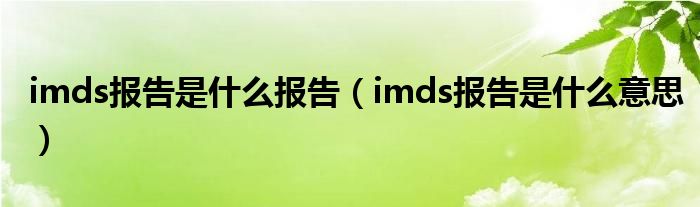 imds报告是什么报告（imds报告是什么意思）