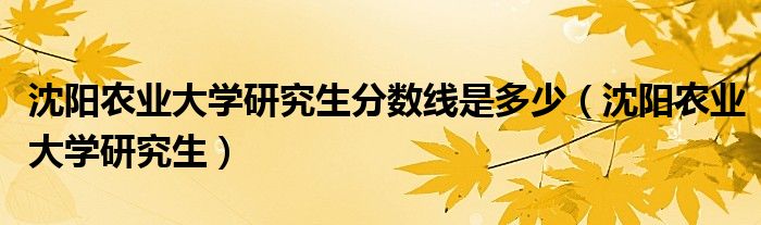 沈阳农业大学研究生分数线是多少（沈阳农业大学研究生）