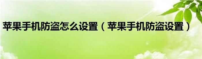 苹果手机防盗怎么设置（苹果手机防盗设置）