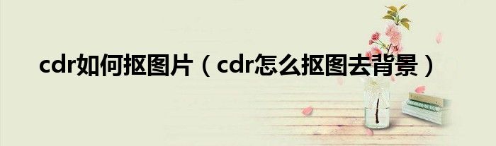 cdr如何抠图片（cdr怎么抠图去背景）