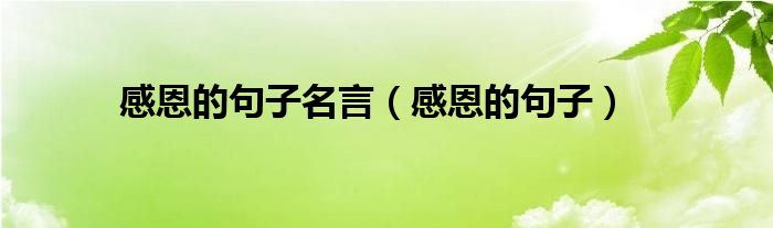 感恩的句子名言（感恩的句子）