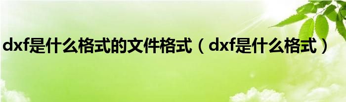 dxf是什么格式的文件格式（dxf是什么格式）