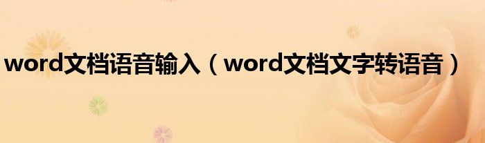 word文档语音输入（word文档文字转语音）