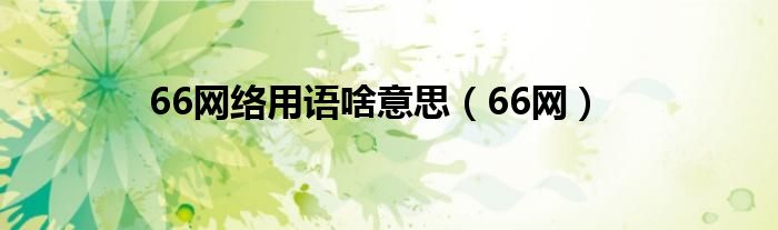 66网络用语啥意思（66网）