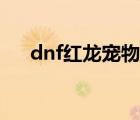 dnf红龙宠物（dnf宠物狂战赤血龙女）