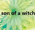 son of a witch关卡种子（son of a witch）