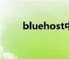 bluehost中文站（bluehost中文）