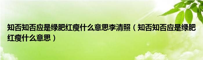 知否知否应是绿肥红瘦什么意思李清照（知否知否应是绿肥红瘦什么意思）