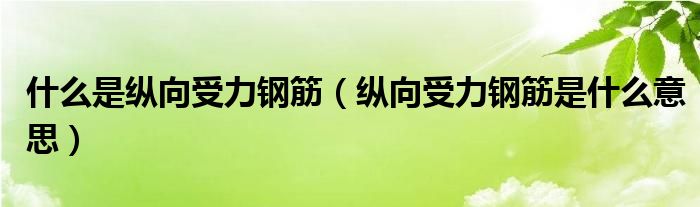 什么是纵向受力钢筋（纵向受力钢筋是什么意思）