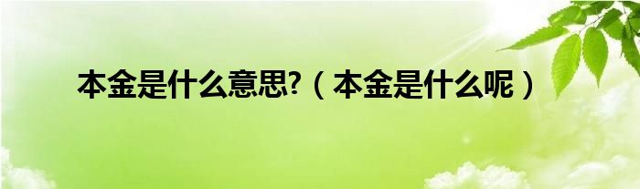 本金是什么意思?（本金是什么呢）