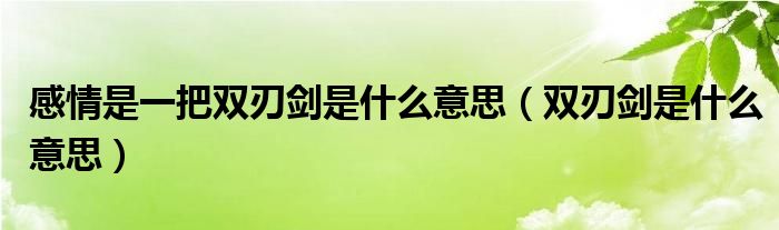 感情是一把双刃剑是什么意思（双刃剑是什么意思）