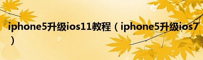 iphone5升级ios11教程（iphone5升级ios7）