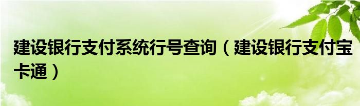 建设银行支付系统行号查询（建设银行支付宝卡通）