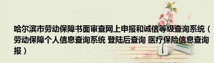 哈尔滨市劳动保障书面审查网上申报和诚信等级查询系统（劳动保障个人信息查询系统 登陆后查询 医疗保险信息查询 报）