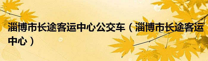 淄博市长途客运中心公交车（淄博市长途客运中心）