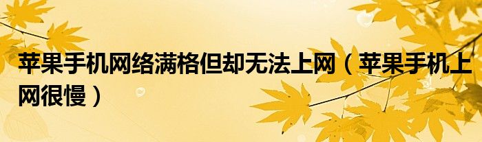 苹果手机网络满格但却无法上网（苹果手机上网很慢）