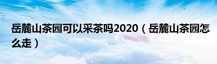 岳麓山茶园可以采茶吗2020（岳麓山茶园怎么走）