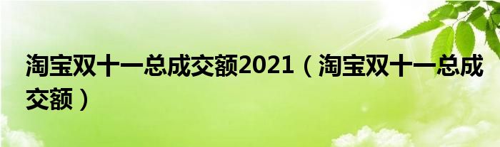 淘宝双十一总成交额2021（淘宝双十一总成交额）